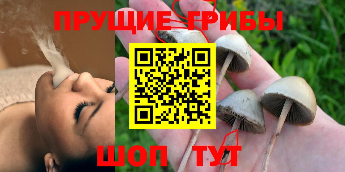 Галлюциногенные грибы ЛСД Павловский Посад